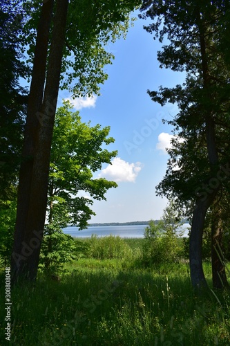 lake in forest with blue sky