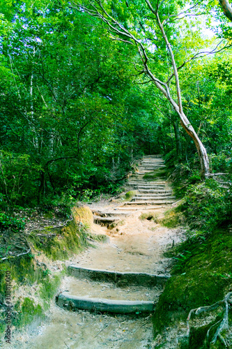 Mountain trail on the Daimonji mountain. Sakyo-ku, Kyoto, Japan photo