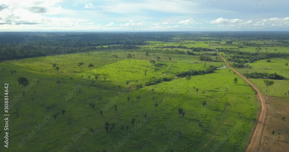 Deforestation of the Amazon rainforest is closely associated with the opening of pastures for livestock activity. There is an increase in the deforestation rate of this biome. Amazonas, Brazil Deforestation of the Amazon rainforest is closely associated with the opening of pastures for livestock activity. There is an increase in the deforestation rate of this biome. Amazonas, Brazil