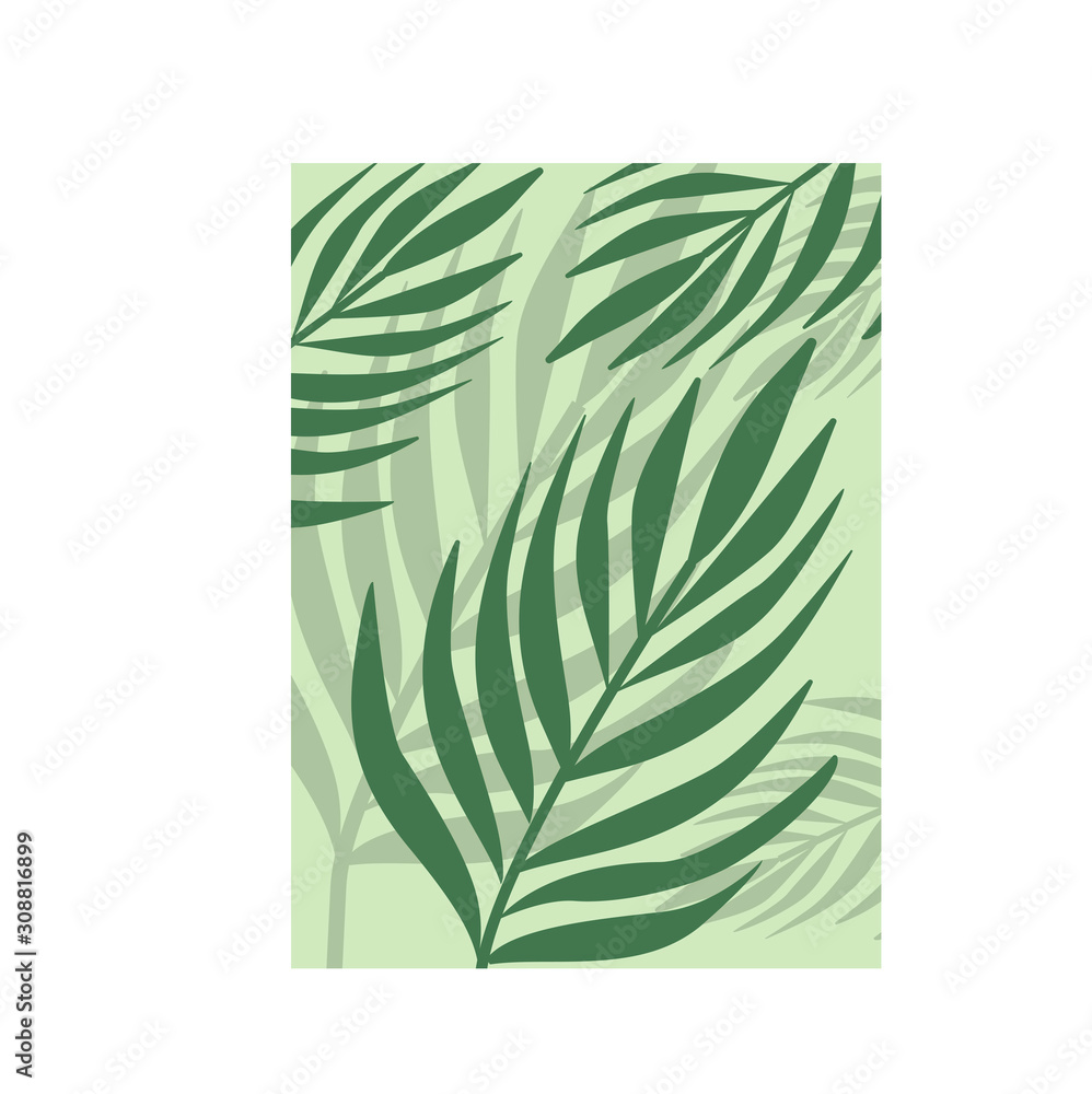 Tropical plants with green leaves background and wallpapers Stock