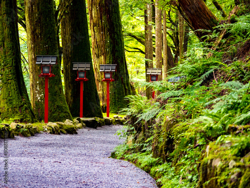 Approach to Okumiya of Kifune Shrine. Sakyo-ku, Kyoto, Japan photo