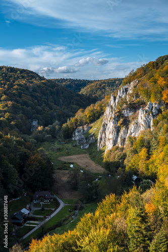 Obraz na płótnie Ojcowski Park Narodowy, las, jesień, polska, małopolska w salonie