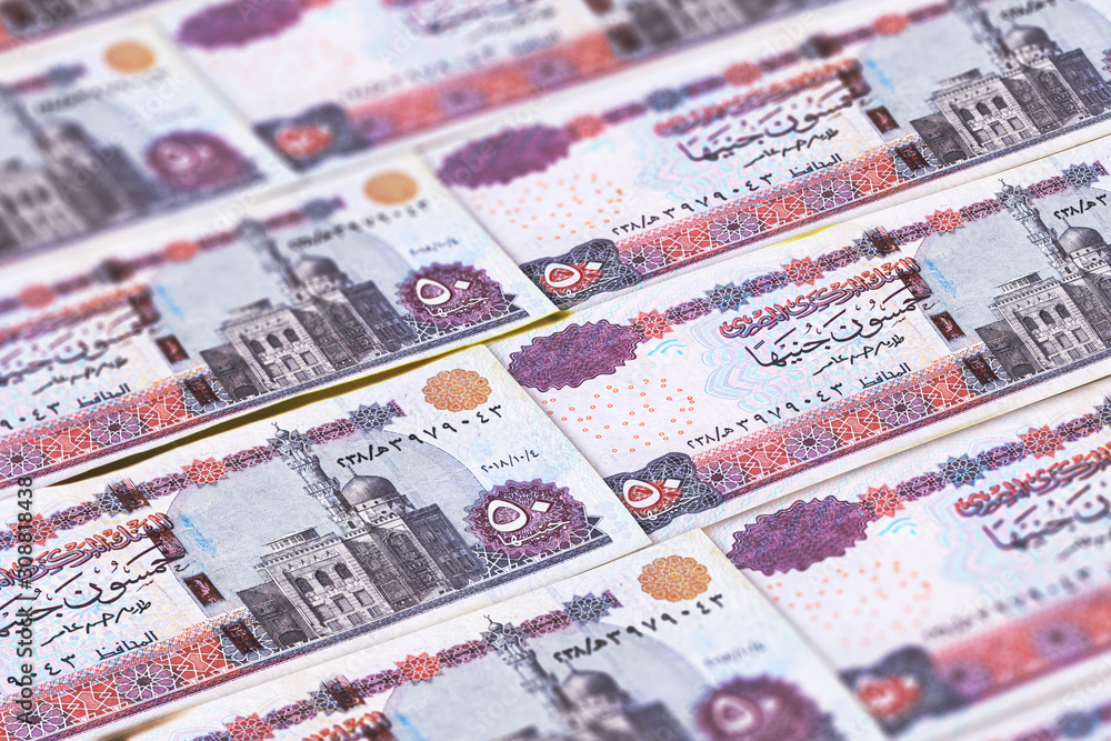 EGP. Money of Egypt. Egyptian pounds background. Macro photo EGP. Money of Egypt. Egyptian pounds background. Macro photo