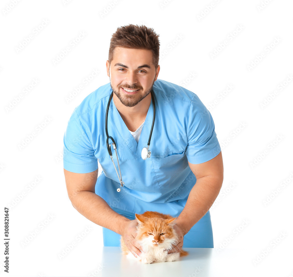 Male veterinarian examining cute cat on white background