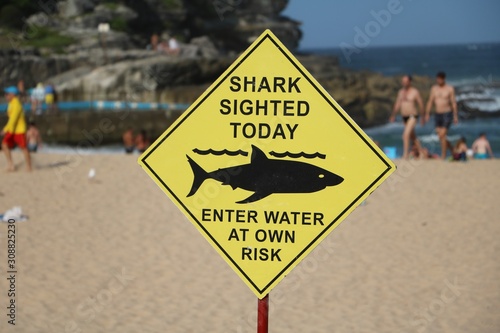 Shark sighted today Enter water at own risk, Sydney Australia