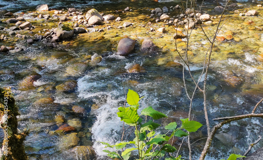 Obraz premium Shimmering cascades and bountiful boulders on the North Fork Sauk River in the Summertime off the Mountain Loop Highway in Silverton Washington State Snohomish County