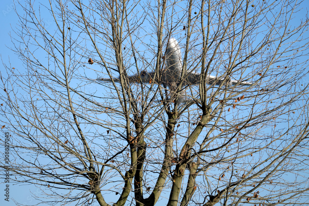 Passagierflugzeug überfliegt Waldgebiet in der Nähe von Flughafen in geringer Höhe - Stockfoto Passagierflugzeug überfliegt Waldgebiet in der Nähe von Flughafen in geringer Höhe - Stockfoto