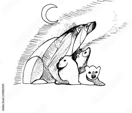 Illustration with a family of bears that look at the northern lights.