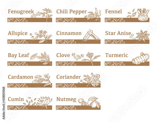 Labels and icons of spices.