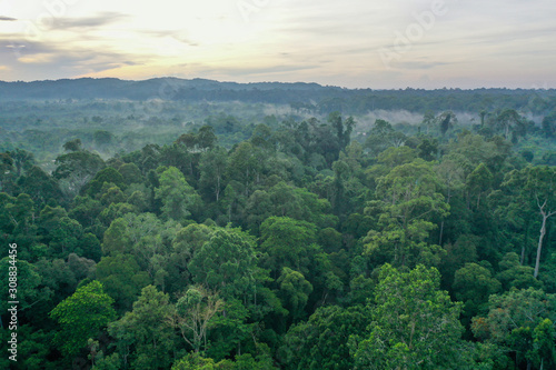 Aerial view of wild Borneo Rainforest or Rain Forest.