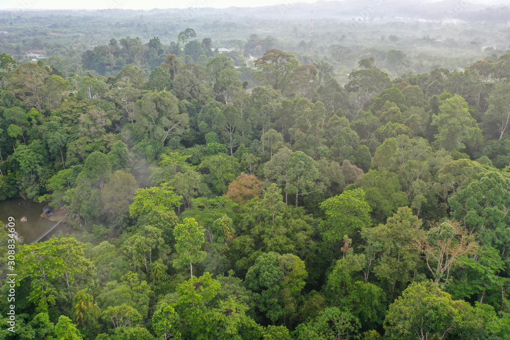 Aerial view of wild Borneo Rainforest or Rain Forest. Aerial view of wild Borneo Rainforest or Rain Forest.