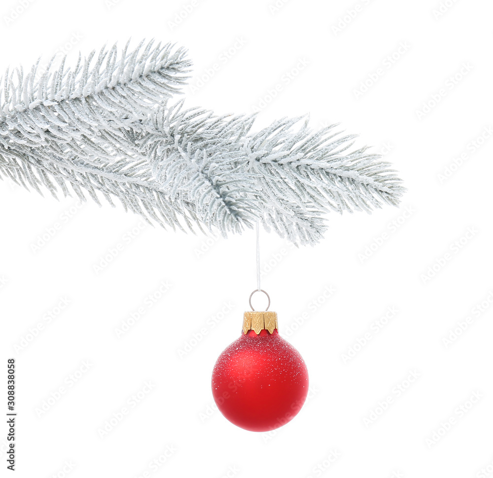 Fir tree branch with Christmas ball on white background