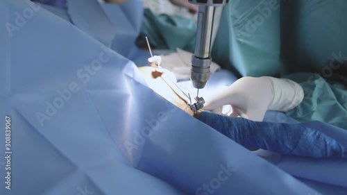 veterinarian doing a traumatology operation.