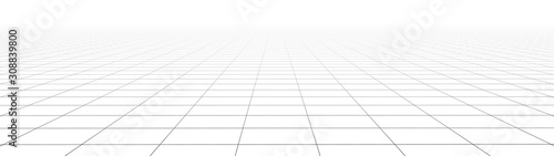 Vector gradient perspective grid. Detailed lines on white background. Widescreen illustration.