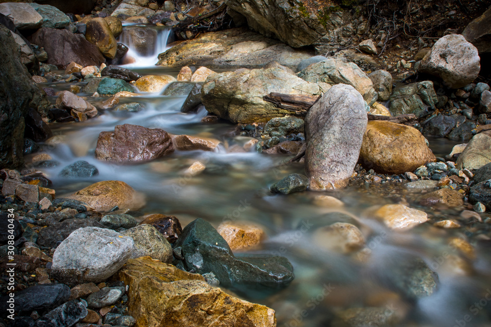 stream in forest stream in forest