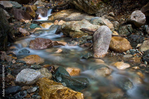 stream in forest