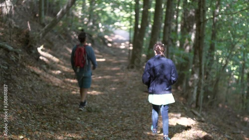 Wallpaper Mural Pair walking leafy woodland forest pathway, sunlight braking through tree canopy. Torontodigital.ca