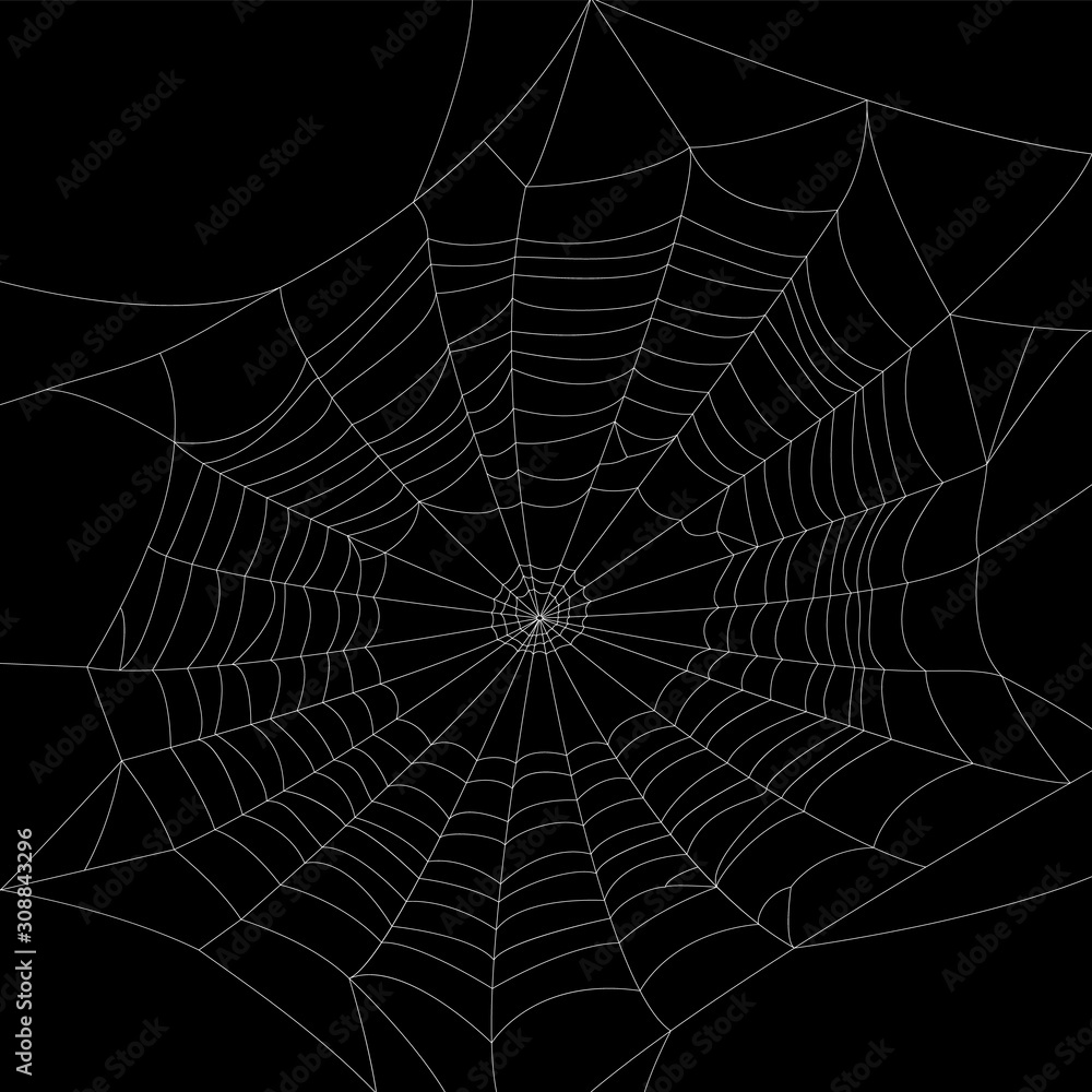 Fototapeta premium Vector web, silhouette. Design element on dark isolated background.