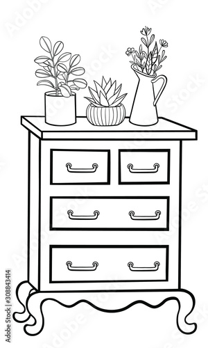 A picture of a drawers with house plants in a planter, a pitcher vase with flowers and branches standing on it. Vector outline illustration drawings on a white background.