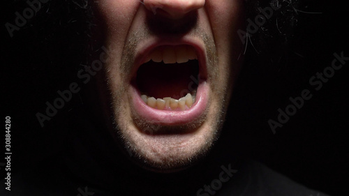 Фотография closeup