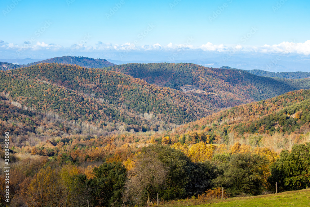 Colorful autumn forest in a Spanish mountain Montseny