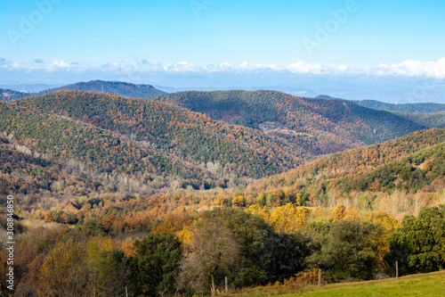 Colorful autumn forest in a Spanish mountain Montseny