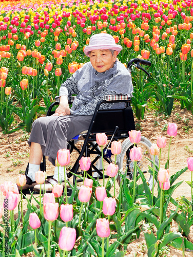 花畑の中を車椅子で散歩するお婆さん