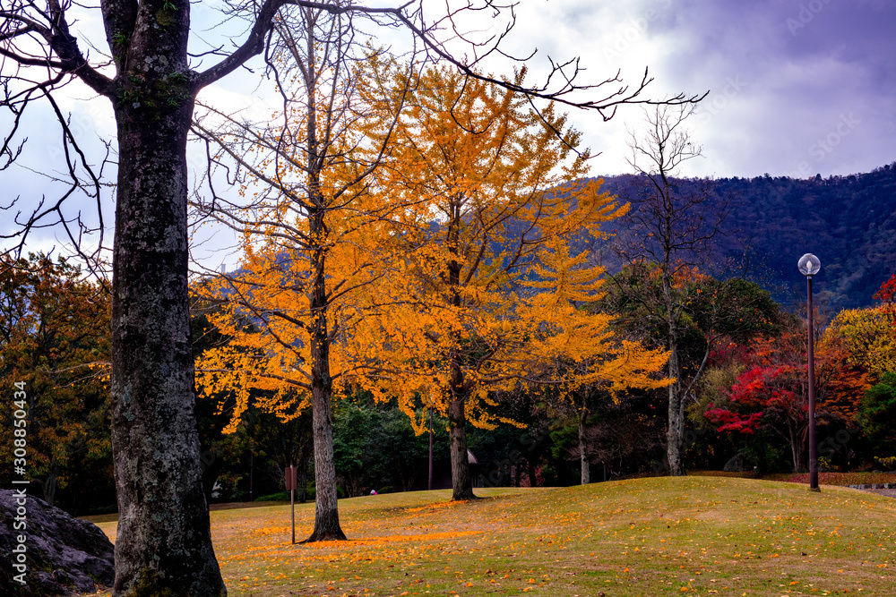 南立石公園の紅葉