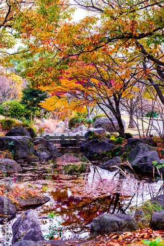 南立石公園の紅葉