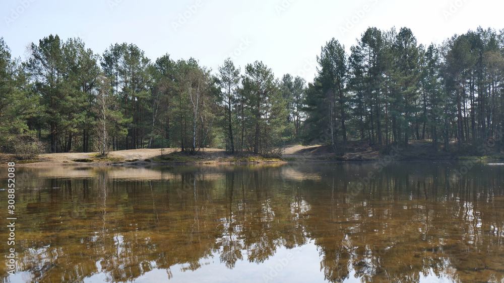 Obraz premium Wald hinter ruhigem wasser