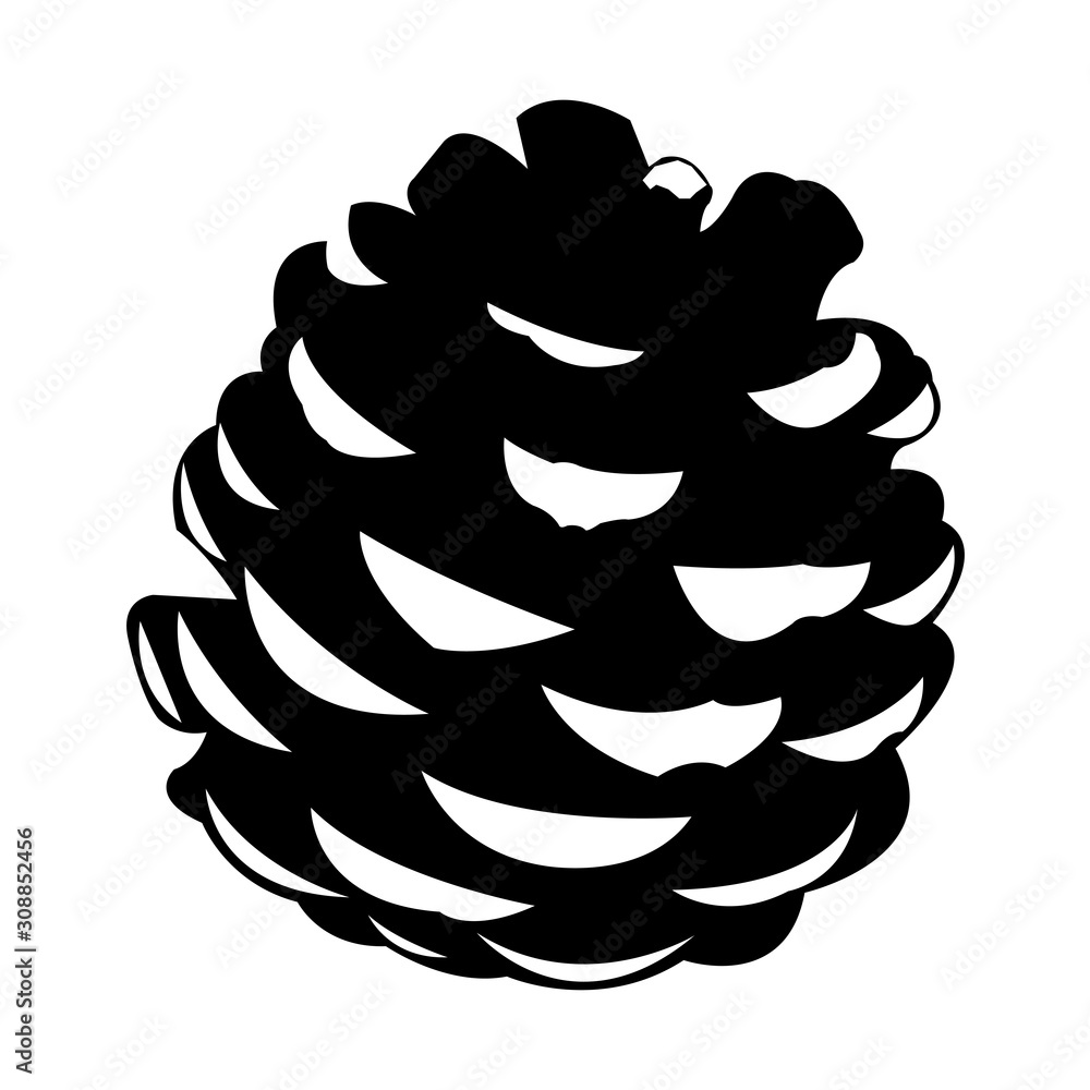 松ぼっくり Stock イラスト Adobe Stock