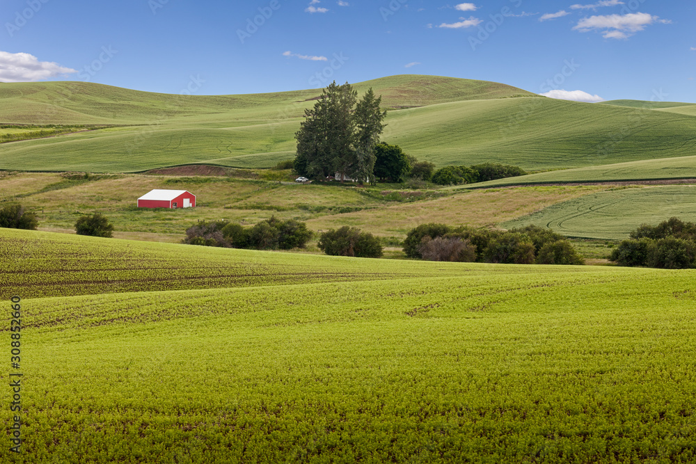 A red barn in rolling landscape of the Palouse, Washington state, USA A red barn in rolling landscape of the Palouse, Washington state, USA