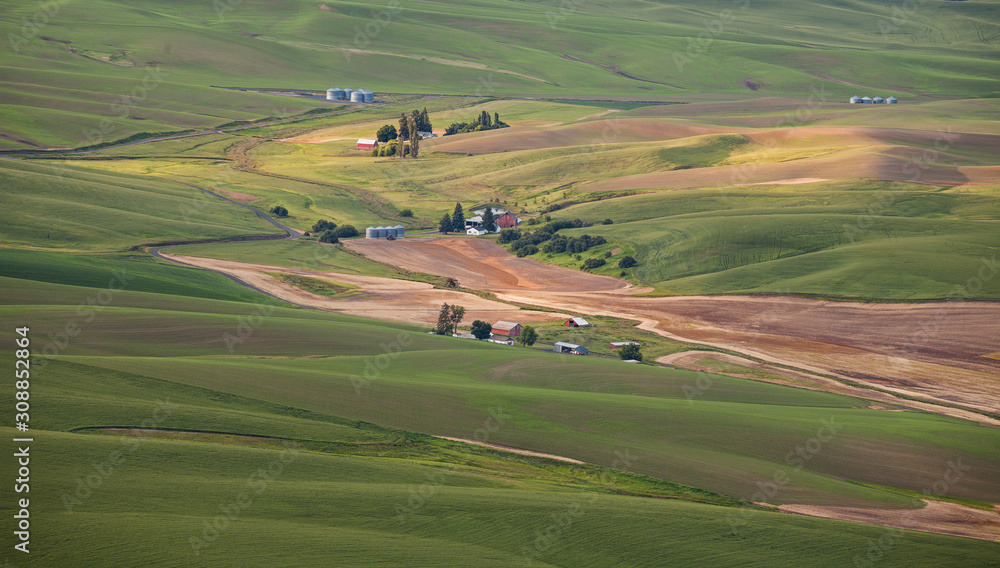 An aerial view of fams among rolling hills of Palouse in Washington state, USA