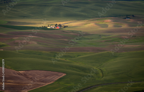 An aerial view of fams among rolling hills of Palouse in Washington state, USA