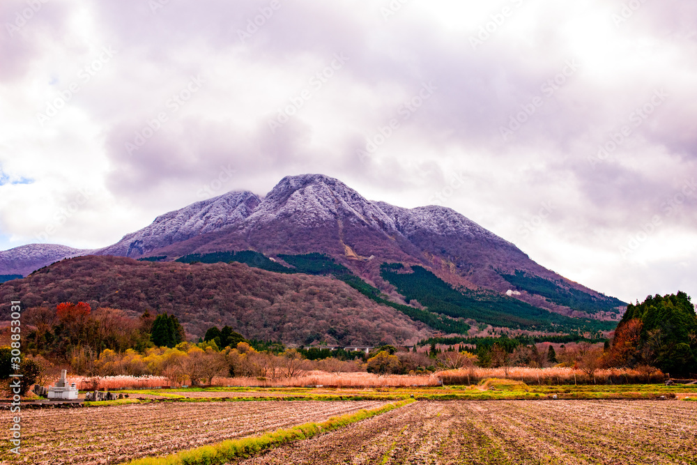 Naklejka premium 塚原高原から由布岳