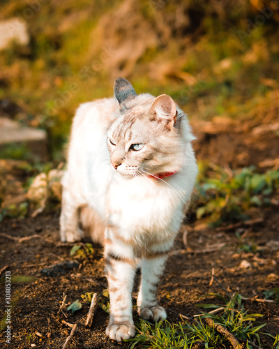 Photography Colmillos