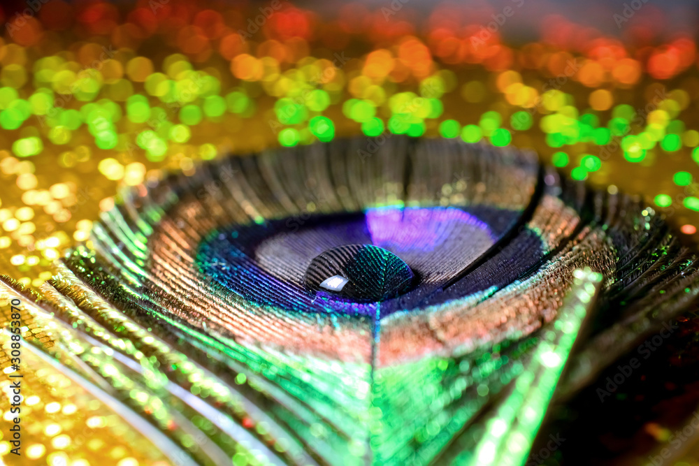 Naklejka premium macro photo of peacock feather with water drop on shiny bokeh background