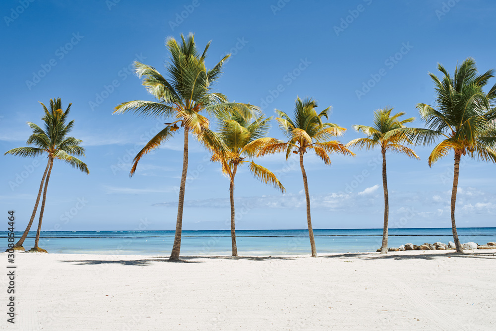 tropical beach with palm trees tropical beach with palm trees