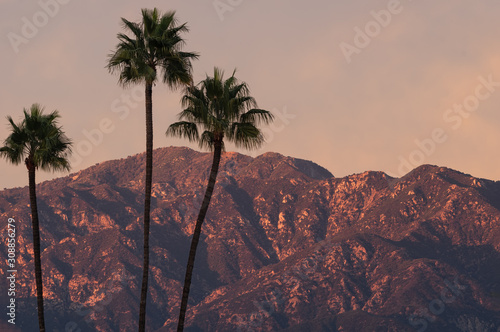 Image taken from Pasadena of the San Gabriel Mountains at sunset time with palm tress in the foreground. photo