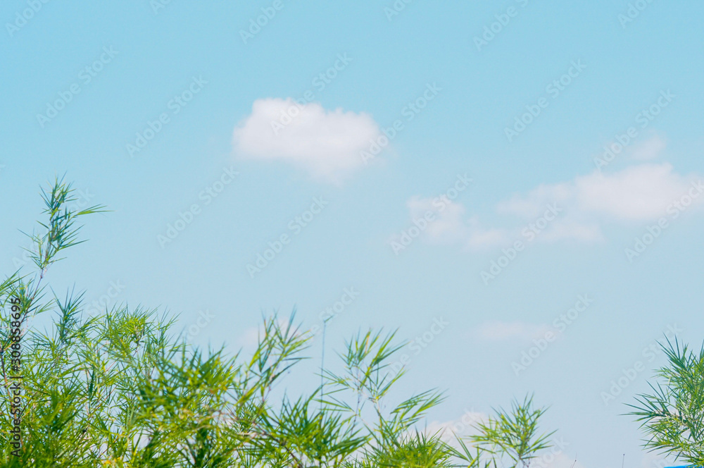 green tree and blue sky green tree and blue sky