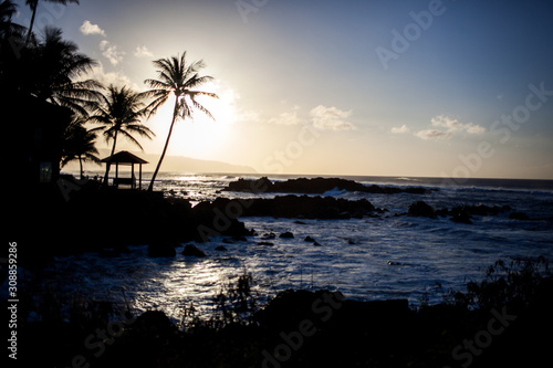 Hawaii © Lisa