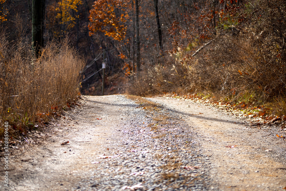 Dirt road on a mountain surrounded by trees in the fall Dirt road on a mountain surrounded by trees in the fall