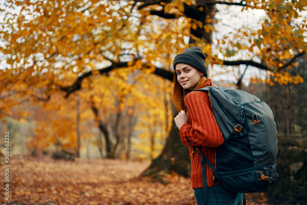 young woman in autumn park young woman in autumn park
