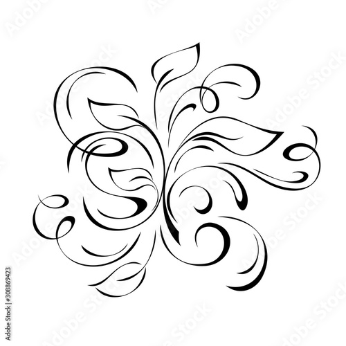 ornament 973. decorative element with curls and leaves in black lines on white background