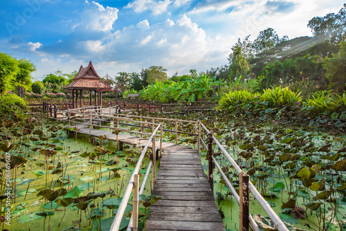 Cottage Stays Middle Lotus Pond with blue sky.