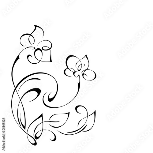 ornament 974. decorative element with flowers, leaves and curls in black lines on a white background