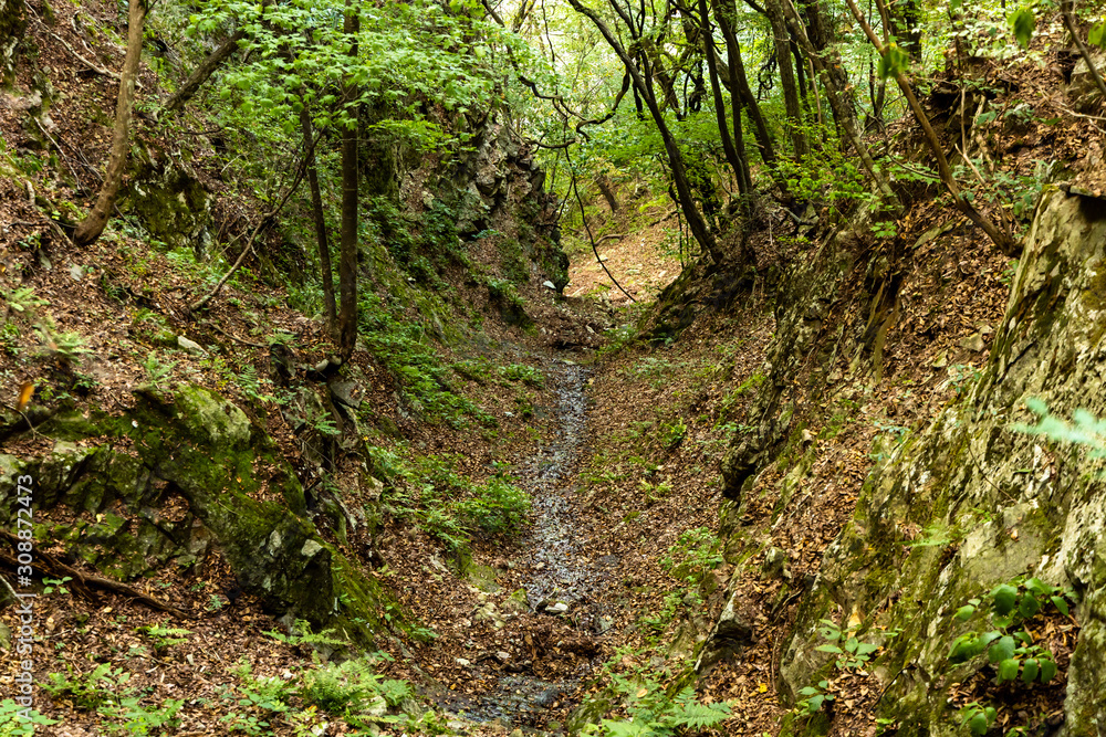 Fototapeta premium mountain river