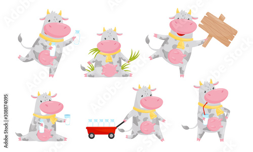 Happy Spotted Cow Cartoon Character Collection, Funny Humanized Farm Animal in Various Action Poses Vector Illustration