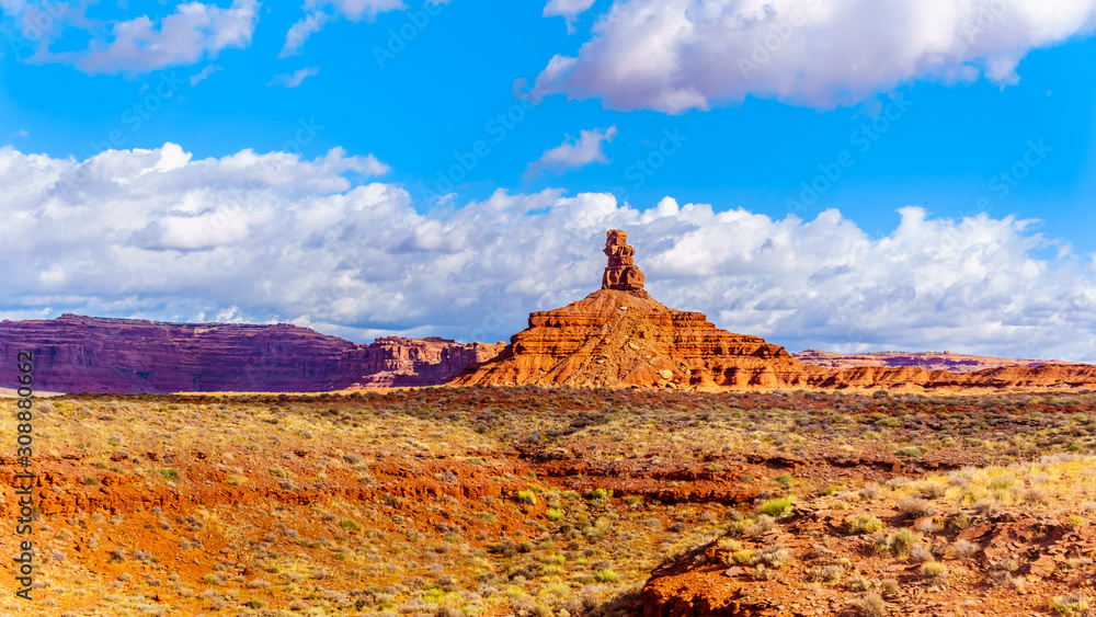 Fototapeta premium The Red Sandstone Buttes and Pinnacles in the semi desert landscape in the Valley of the Gods State Park near Mexican Hat, Utah, United States