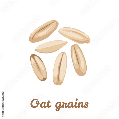 Whole oat grains isolated on a white background. Vector illustration of oatmeal in cartoon simple flat style. Organic healthy food.